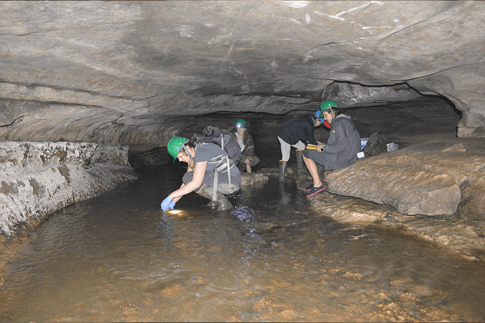 Saint ˻ֱ University researchers analyze water from a dark cave to determine if microplastics are present. 